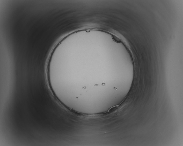 X0000100471488200807111031