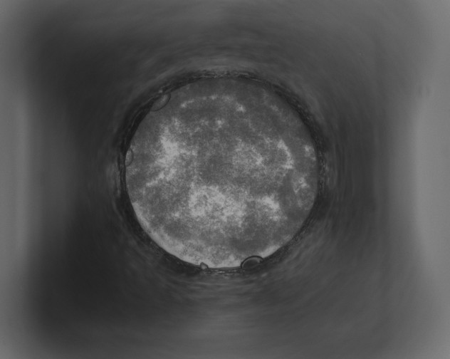 X0000100471493200807111030