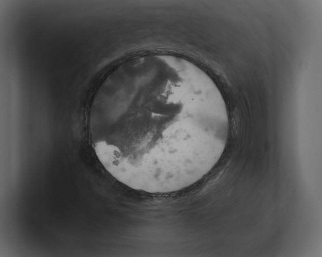 X0000100471494200807111030