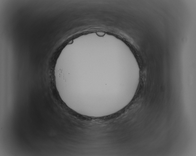 X0000100471496200807111030