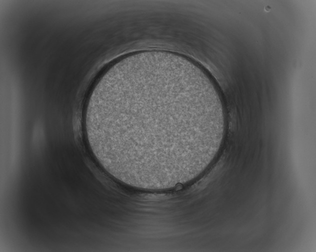 X0000100471499200807111030