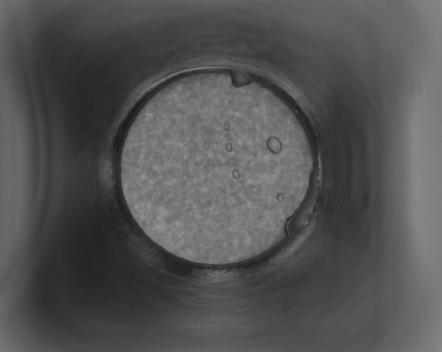 X0000100471501200807111030