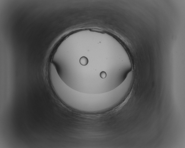 X0000100471502200807111030