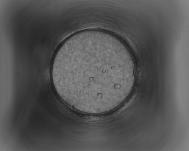 X0000100471505200807111030