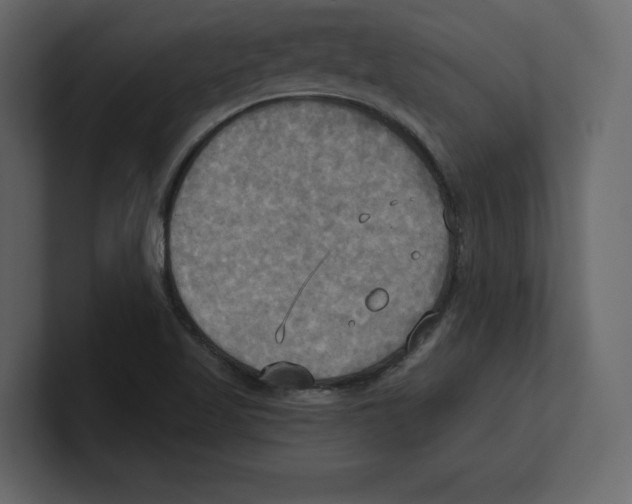 X0000100471509200807111030