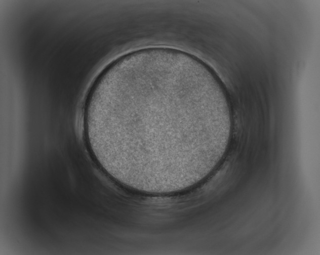 X0000100471511200807111030