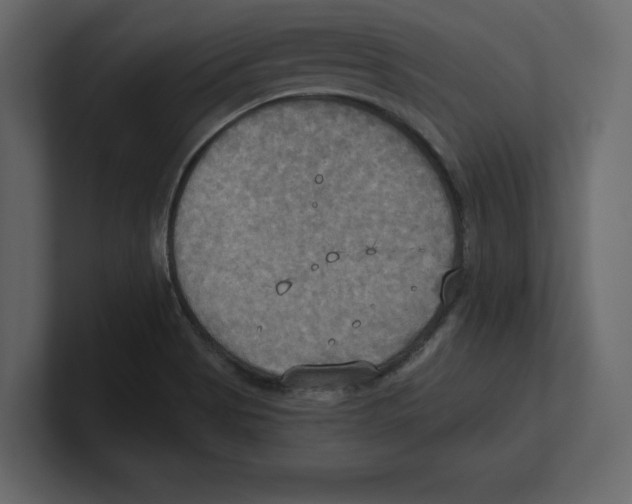 X0000100471513200807111030