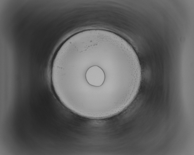 X0000100471514200807111030