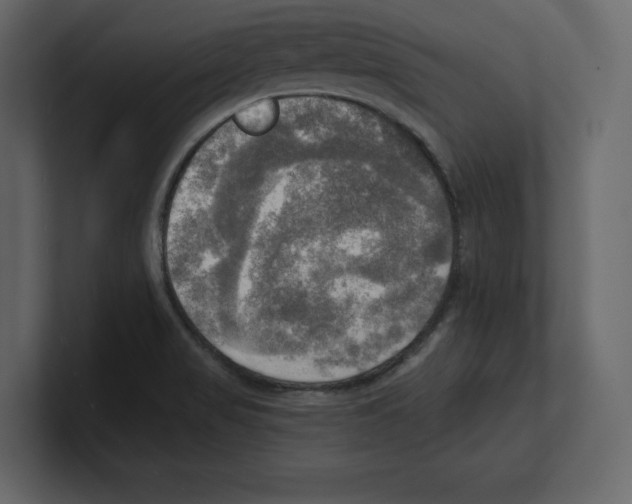 X0000100471517200807111030