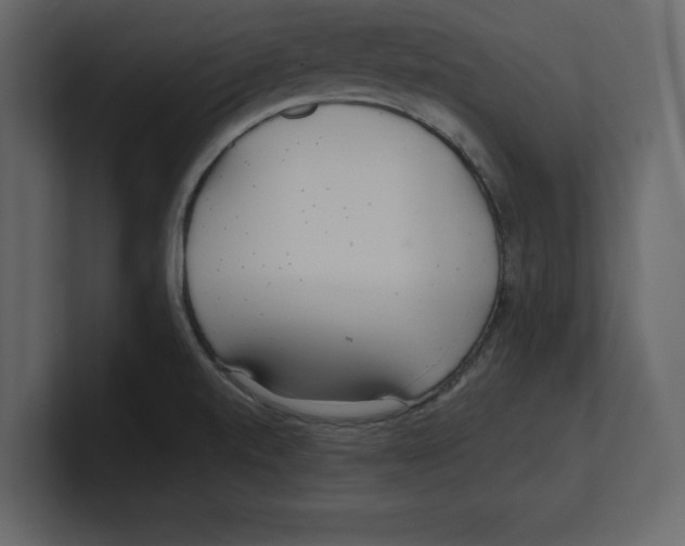 X0000100471520200807111030