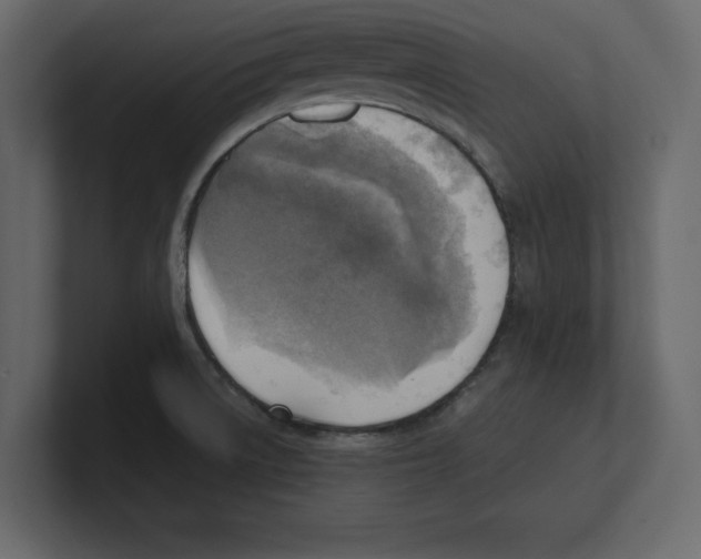 X0000100471522200807111030