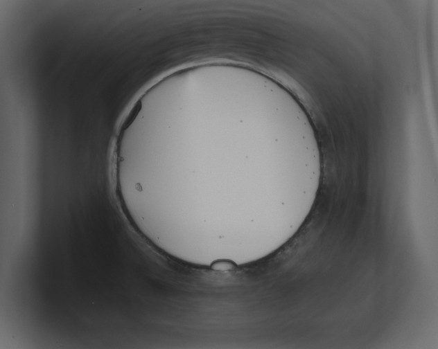 X0000100471524200807111030