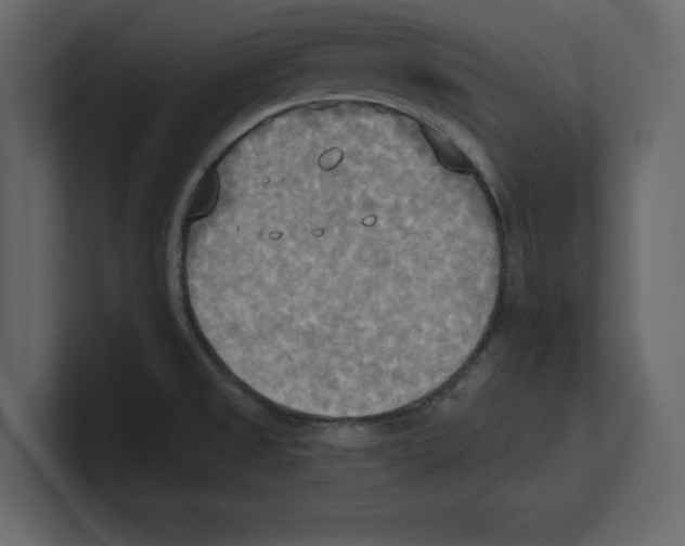 X0000100471525200807111030