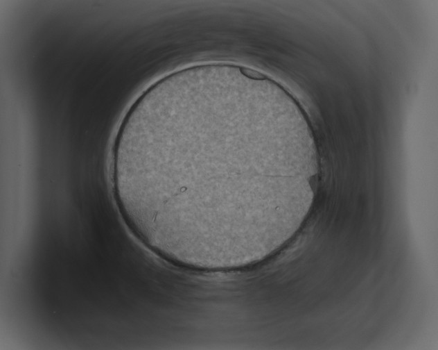 X0000100471527200807111030