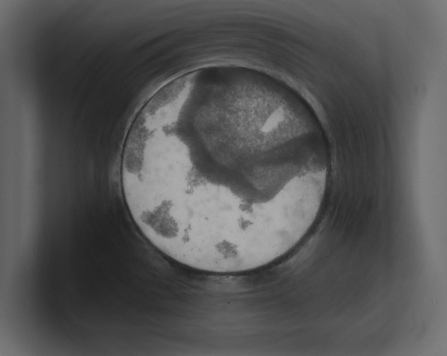 X0000100471529200807111030