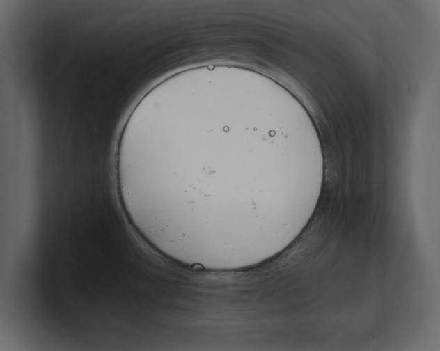 X0000100471532200807111031