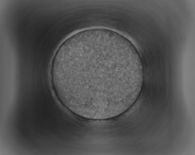 X0000100471534200807111031