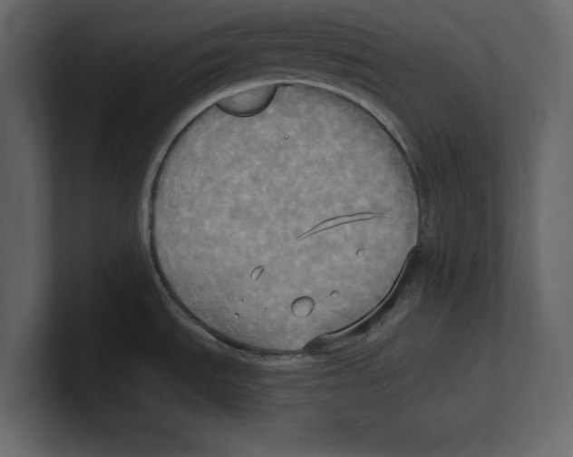 X0000100471535200807111031