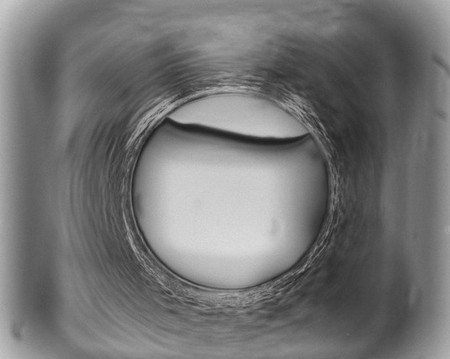 X0000100480001200806130743