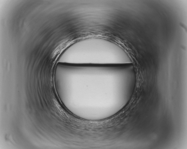X0000100480002200806130743