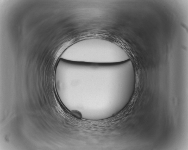 X0000100480003200806130743