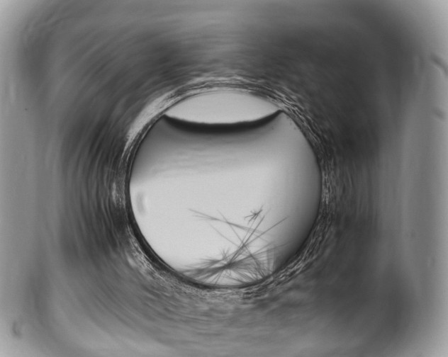 X0000100480004200806130743
