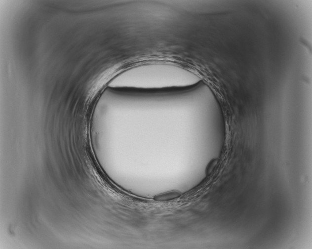 X0000100480005200806130743