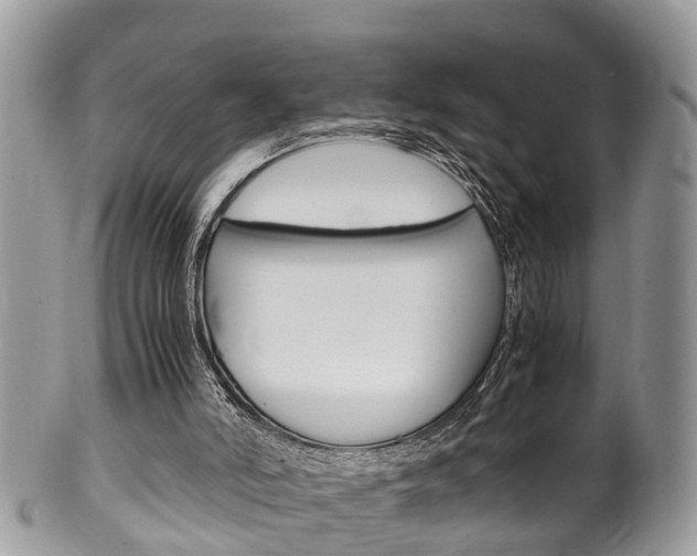 X0000100480006200806130743