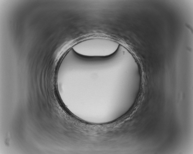 X0000100480007200806130743
