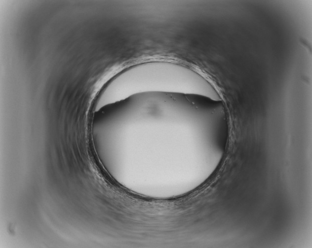 X0000100480008200806130743