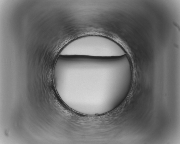 X0000100480009200806130743