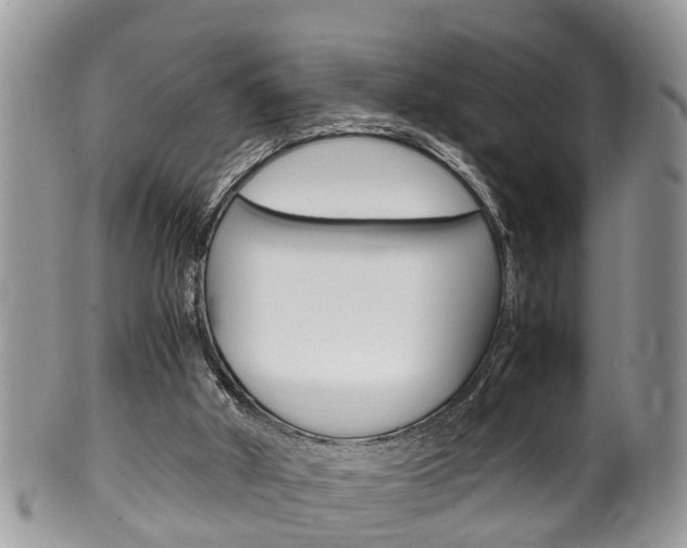 X0000100480010200806130743