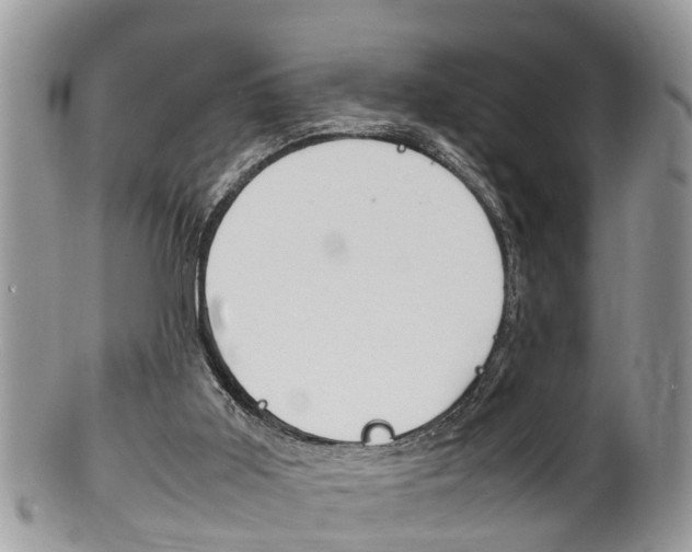 X0000100480011200806130743