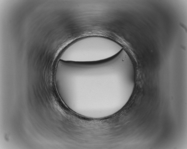 X0000100480012200806130743