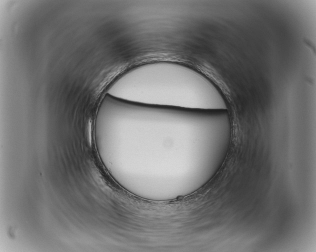 X0000100480014200806130743