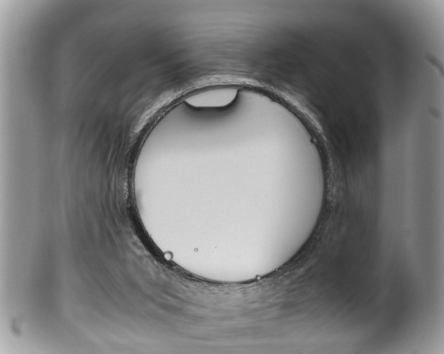 X0000100480015200806130743