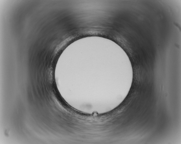 X0000100480016200806130743
