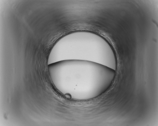 X0000100480017200806130743