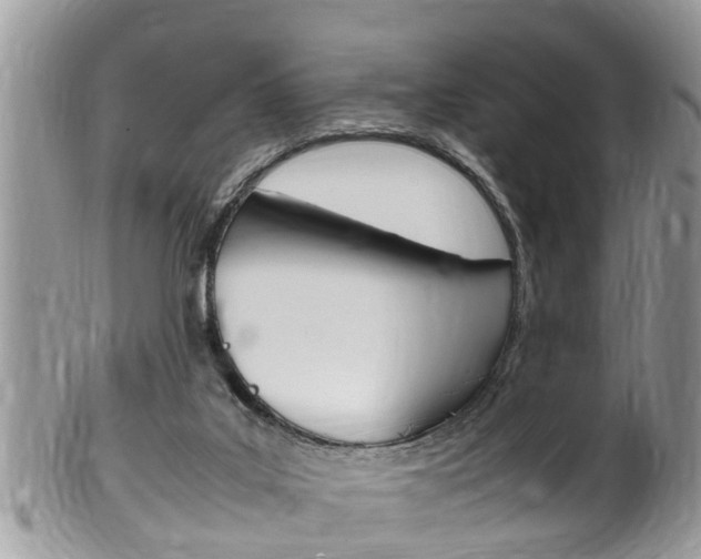 X0000100480019200806130743