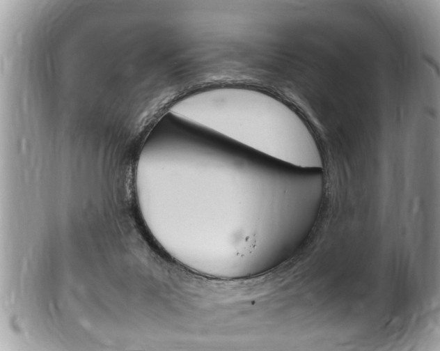 X0000100480023200806130743