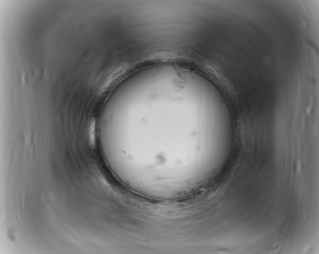 X0000100480024200806130743