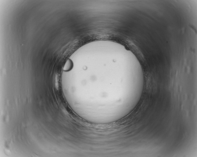 X0000100480026200806130743
