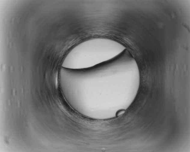 X0000100480028200806130743