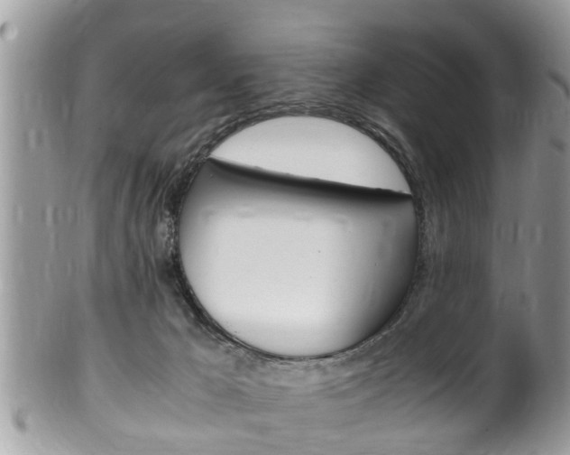 X0000100480029200806130743