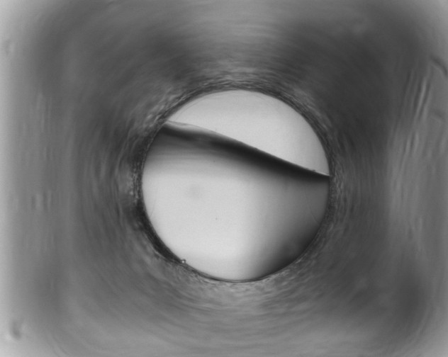 X0000100480031200806130743