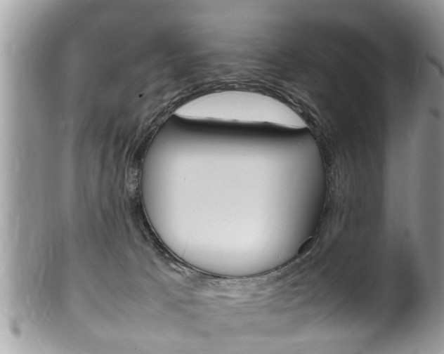 X0000100480033200806130743