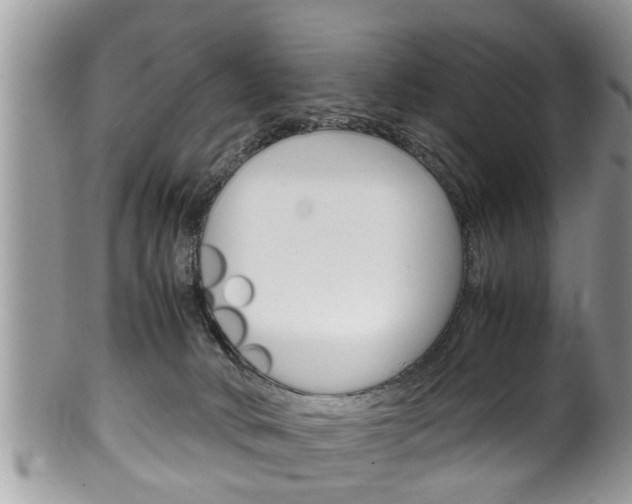 X0000100480034200806130743