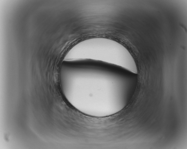 X0000100480035200806130743