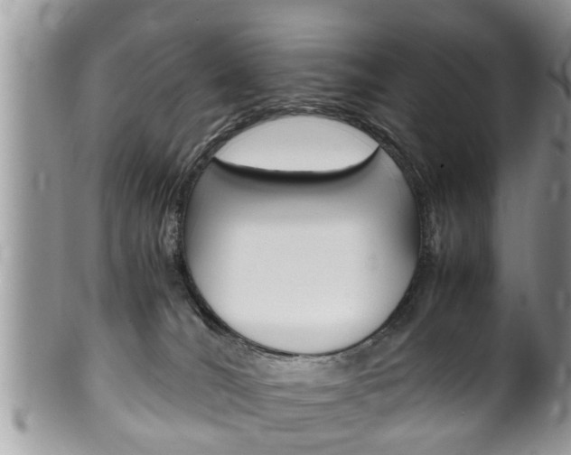 X0000100480036200806130743