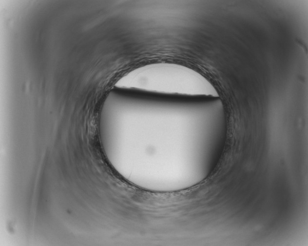 X0000100480037200806130743